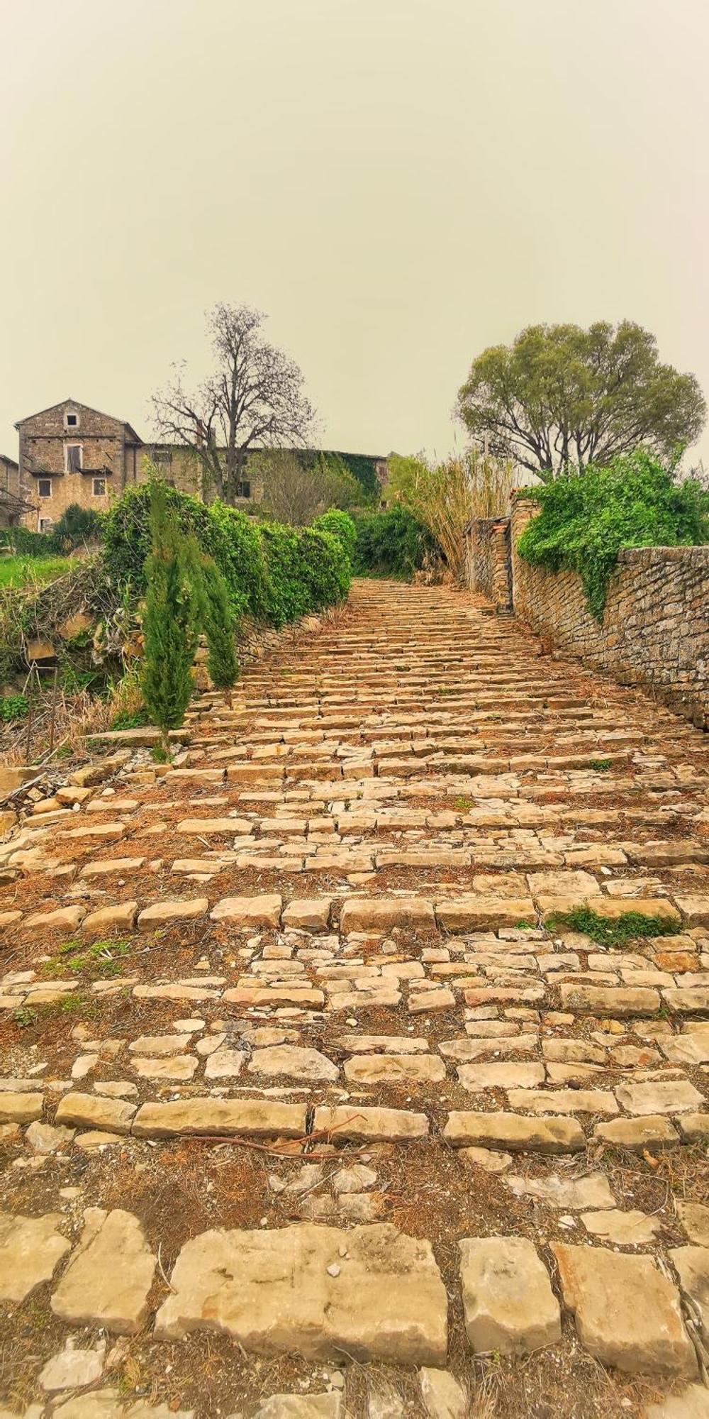 Appartamento Belvedere